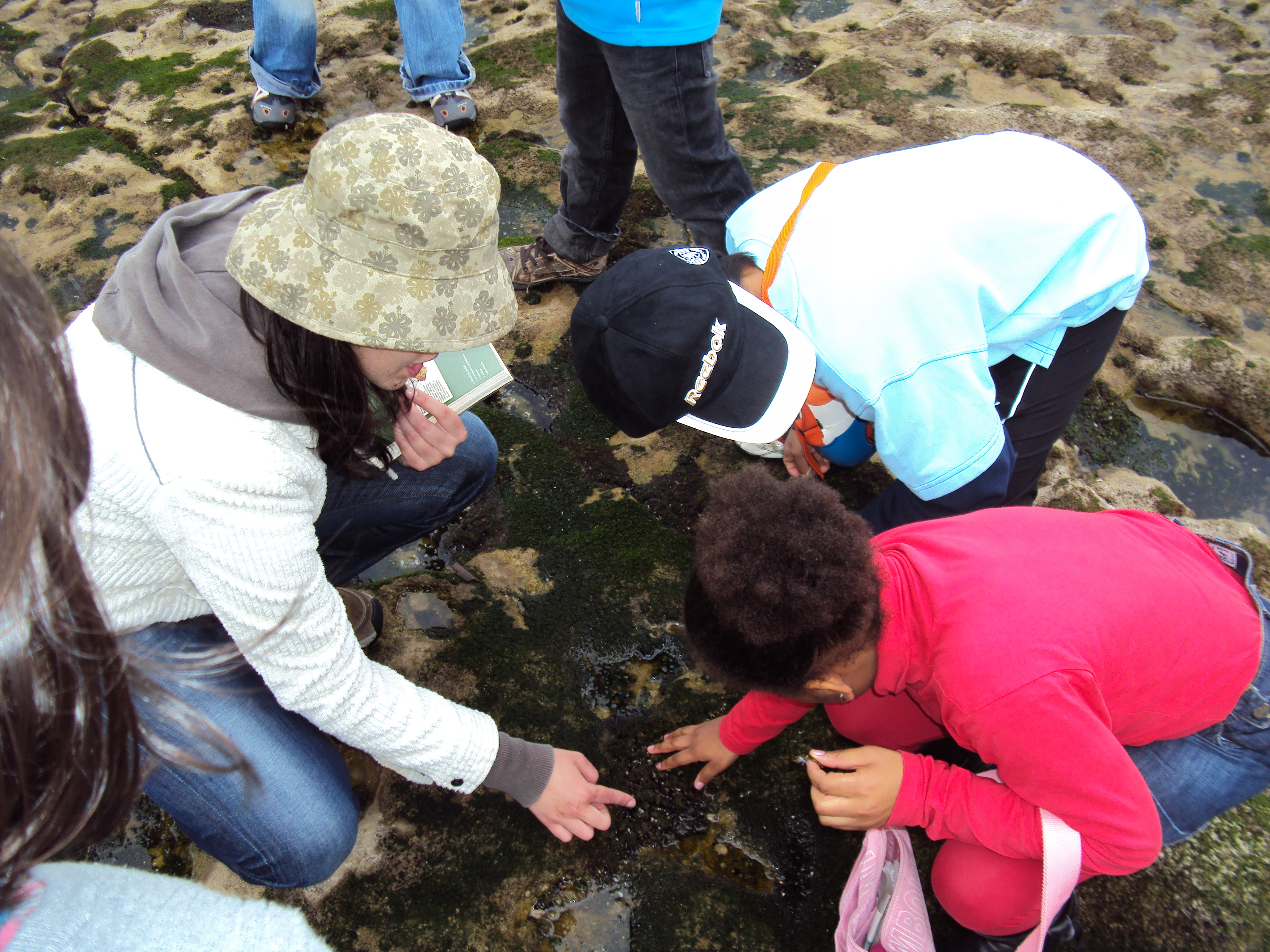 Download Diretorio De Atividades HD Get Wallpaper Diretorio De Atividades HD